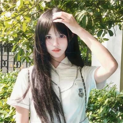 新仙鹤神针
