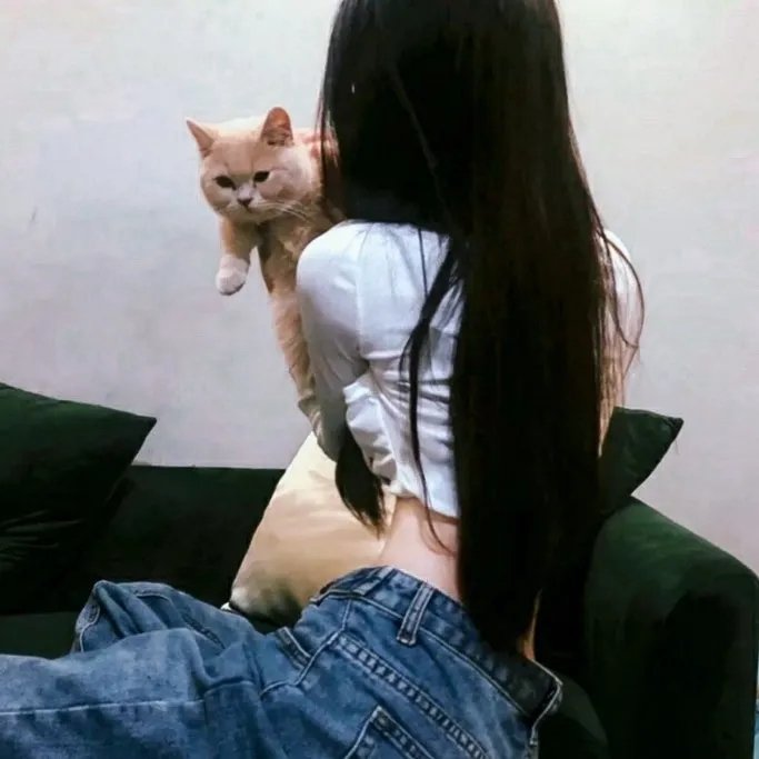 肢解迷情